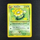Skiploom