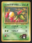 Erika's Bellsprout