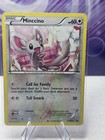 Minccino