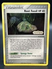 Root Fossil