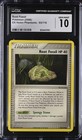 Root Fossil