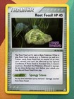 Root Fossil