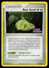 Root Fossil