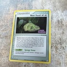 Root Fossil