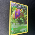 Dustox