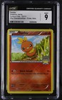 Torchic