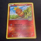 Torchic