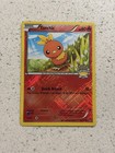 Torchic