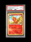 Torchic