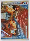 Suicune & Entei