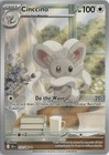 Cinccino