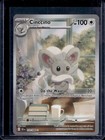 Cinccino