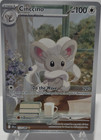 Cinccino