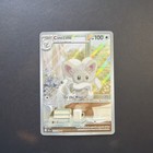 Cinccino