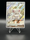 Cinccino