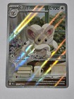 Cinccino