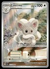Cinccino