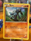 Riolu