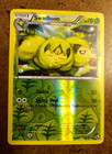 Swadloon