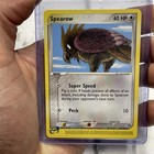 Spearow