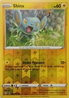 Shinx