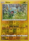 Shinx