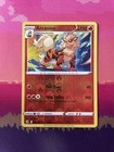 Arcanine