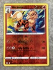 Arcanine