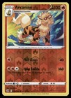 Arcanine