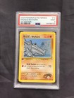 Brock's Rhyhorn