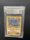 Brock's Rhyhorn