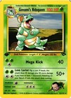 Giovanni's Nidoqueen