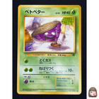 Team Rocket's Nidorina