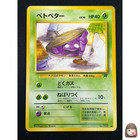 Team Rocket's Nidorina