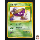 Team Rocket's Nidorina