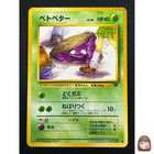 Team Rocket's Nidorina