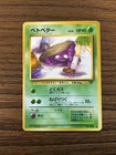 Team Rocket's Nidorina