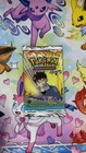 Booster Pack