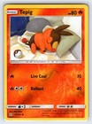 Tepig