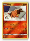 Tepig