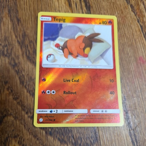 Tepig