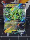 Iron Thorns Ex