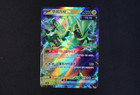 Iron Thorns Ex