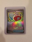 Bug Catching Set