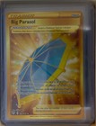 Big Parasol