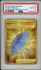 Big Parasol