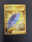 Big Parasol
