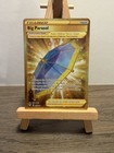 Big Parasol