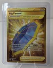 Big Parasol