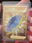 Big Parasol